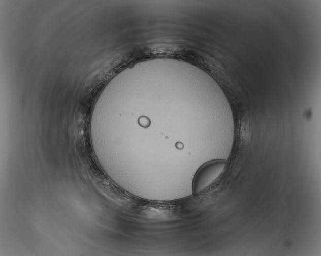 X0000115560567200911271459