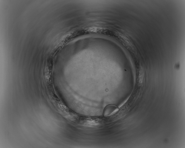 X0000115560569200911271500