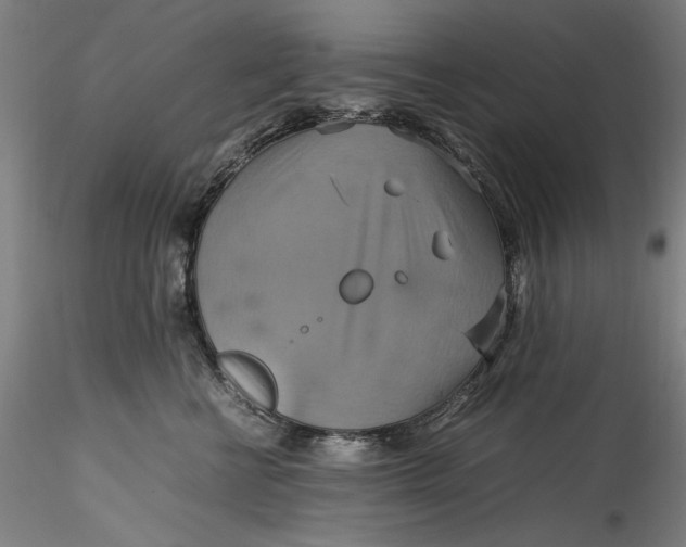 X0000115560570200911271500