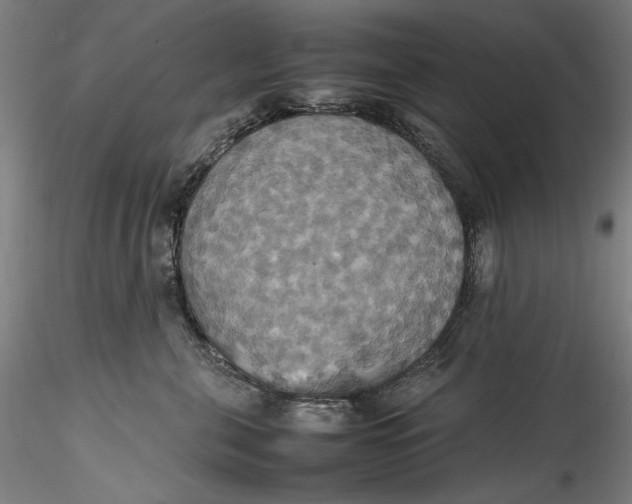 X0000115560571200911271500