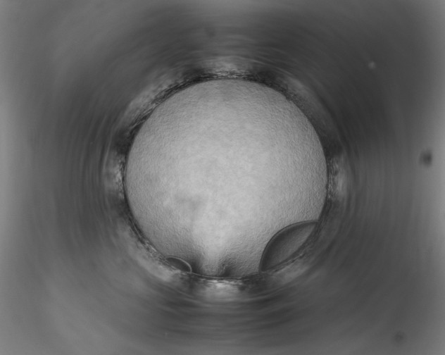 X0000115560573200911271500