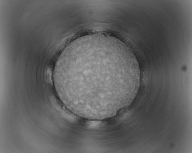 X0000115560575200911271500