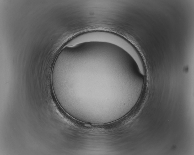 X0000115560577200911271459