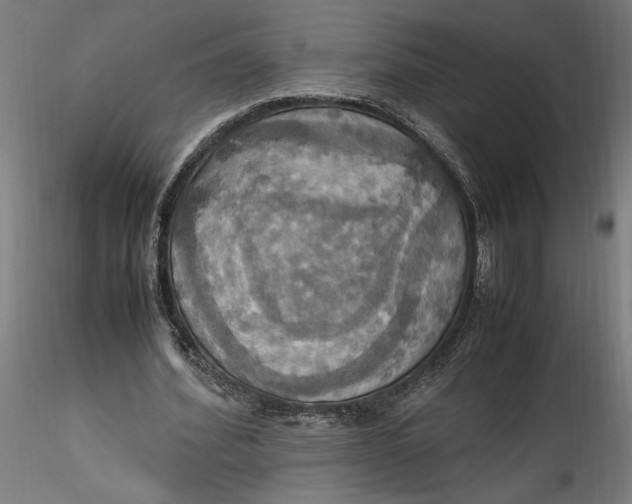 X0000115560580200911271459