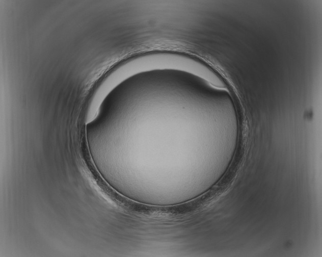 X0000115560581200911271459