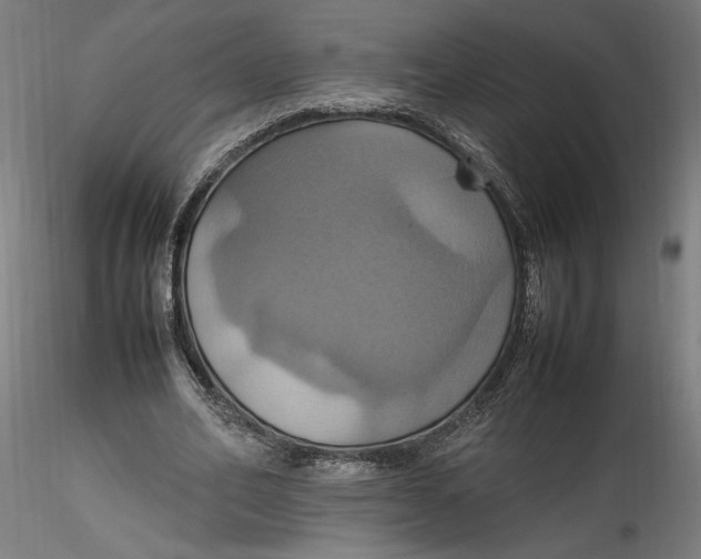 X0000115560582200911271459