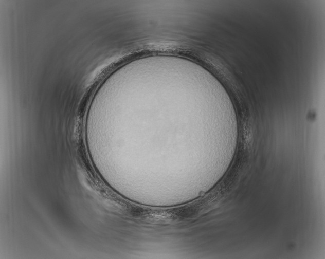 X0000115560583200911271459