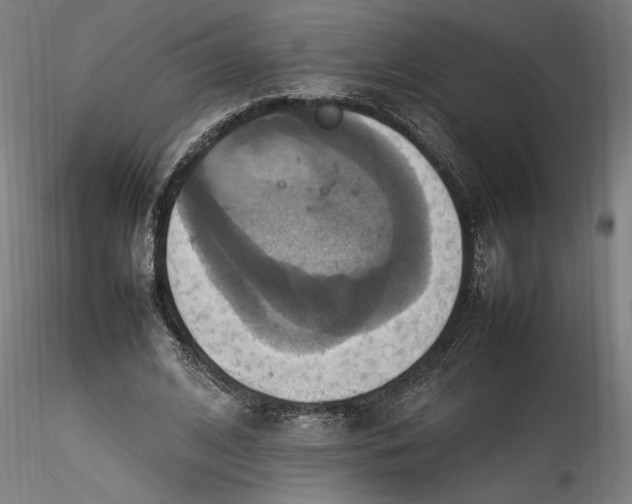 X0000115560584200911271459