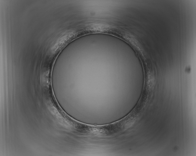 X0000115560585200911271459