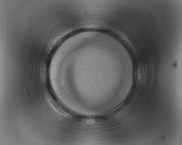 X0000115560588200911271459