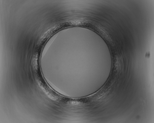 X0000115560590200911271459