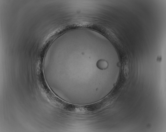 X0000115560591200911271459