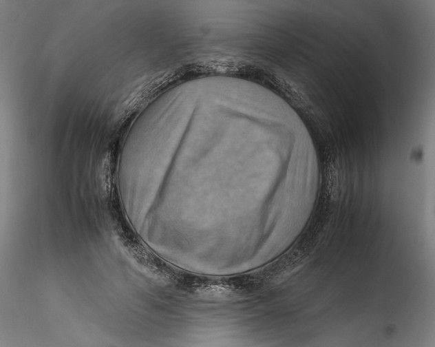 X0000115560594200911271459