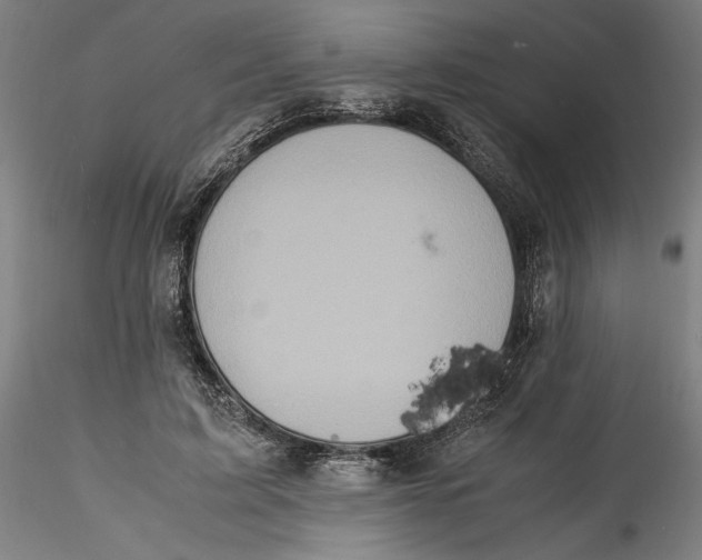 X0000115560595200911271459