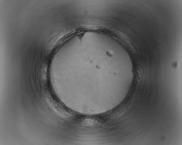 X0000115560596200911271459