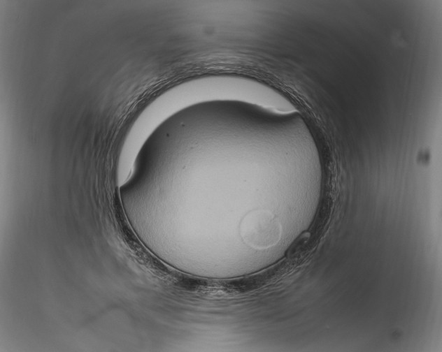 X0000115560597200911271459