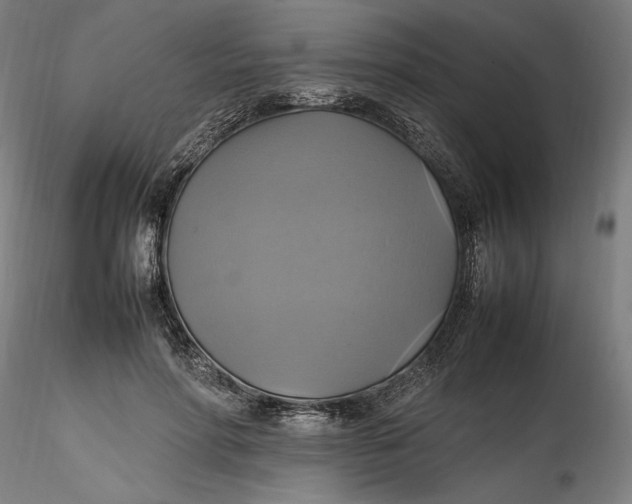 X0000115560598200911271459