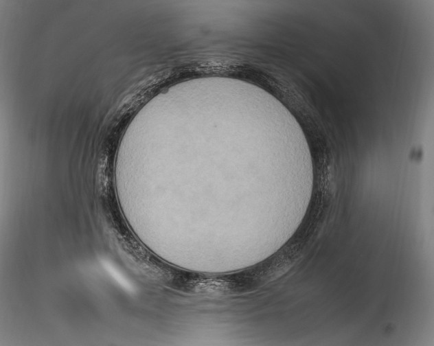 X0000115560599200911271459