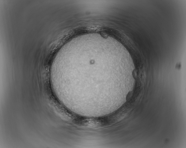 X0000115560601200911271459