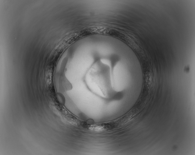 X0000115560602200911271459