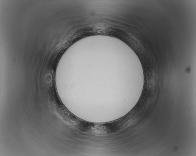 X0000115560603200911271459