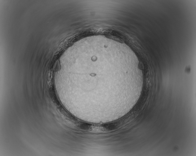 X0000115560605200911271459