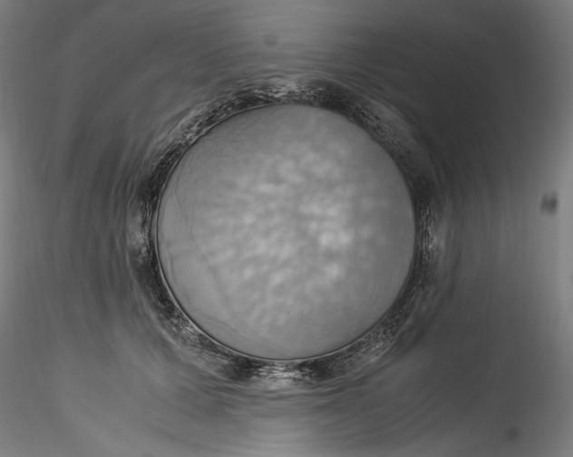 X0000115560607200911271459