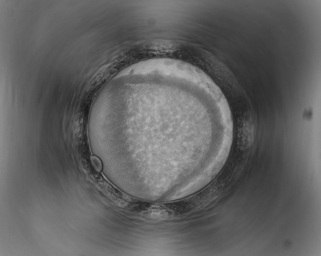 X0000115560608200911271458