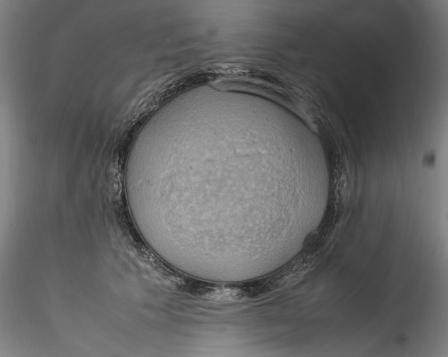 X0000115560609200911271458