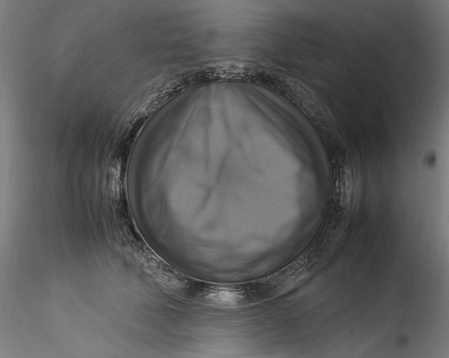 X0000115560610200911271458