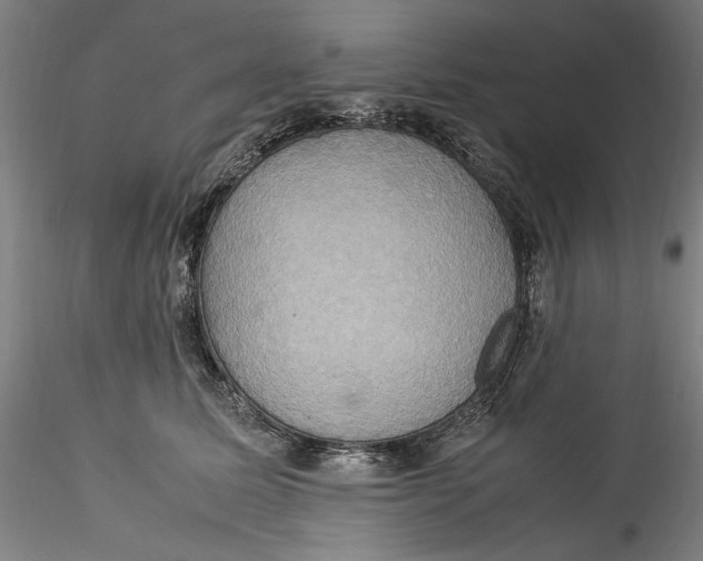 X0000115560611200911271458