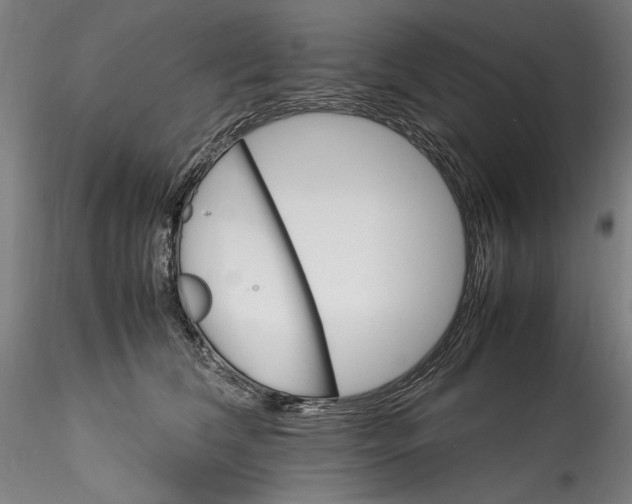 X0000115560612200911271458