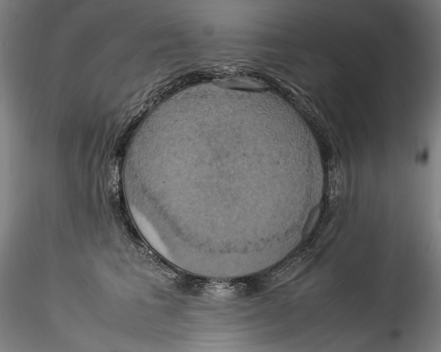 X0000115560613200911271458