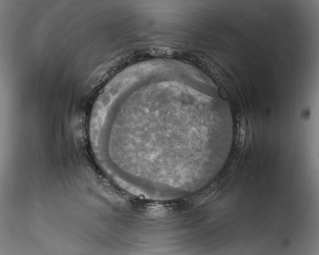 X0000115560616200911271458