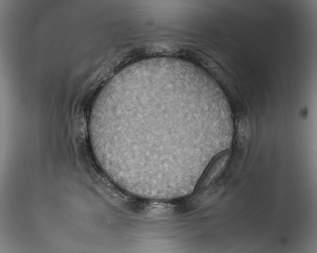 X0000115560617200911271458