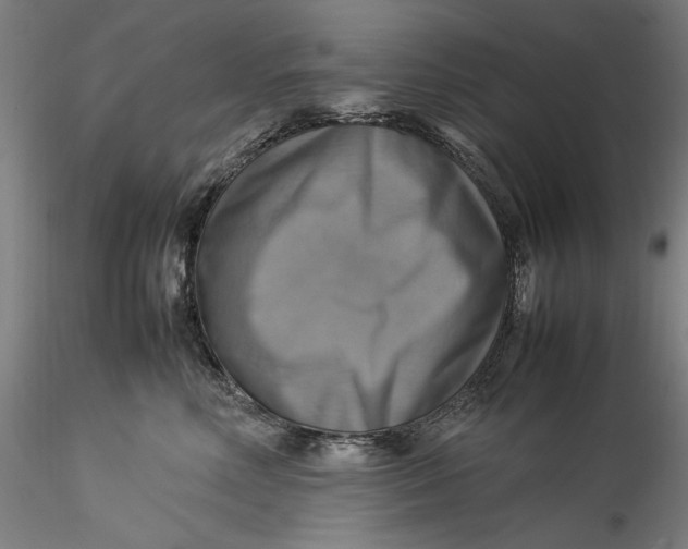 X0000115560618200911271458