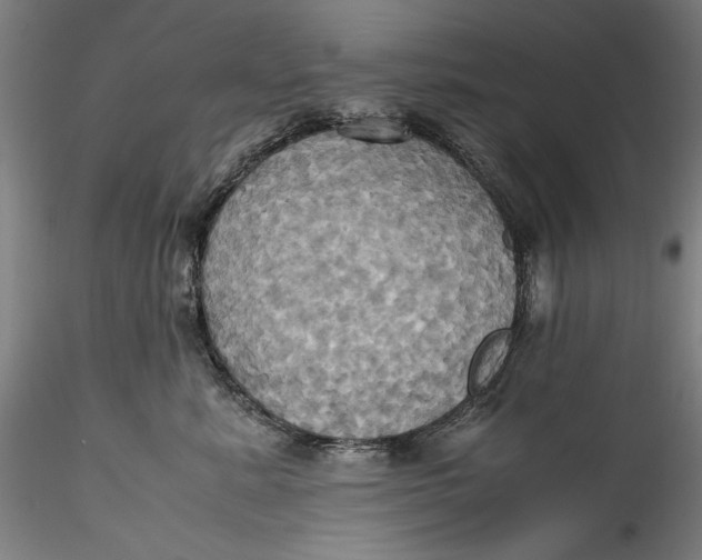 X0000115560619200911271458