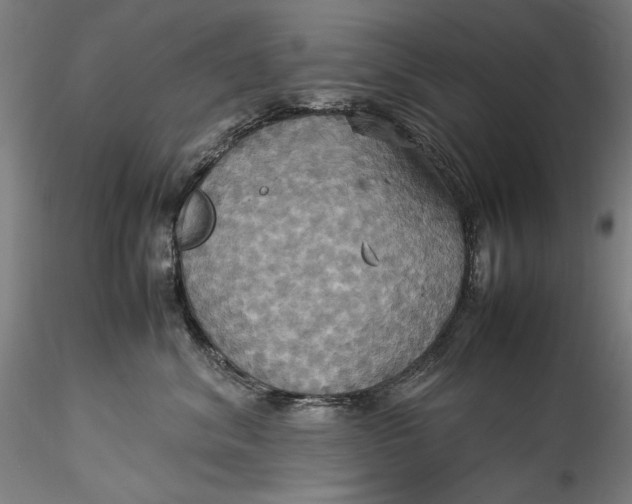 X0000115560620200911271458