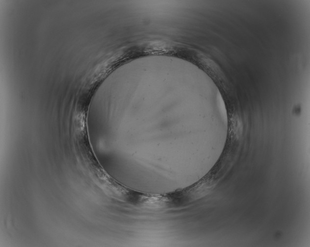 X0000115560621200911271458