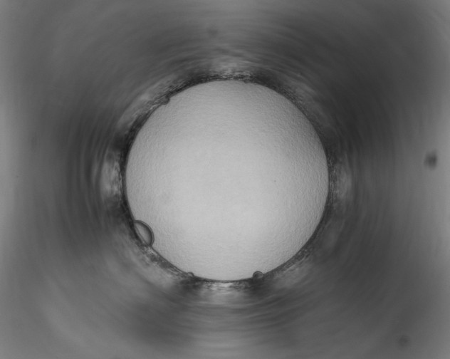 X0000115560622200911271458