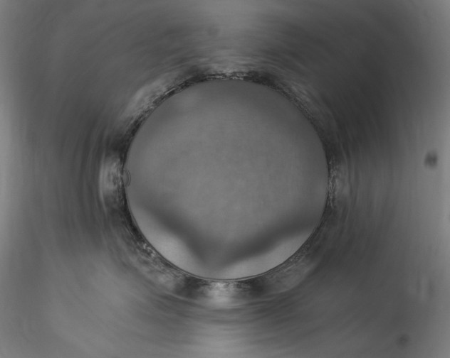 X0000115560623200911271458