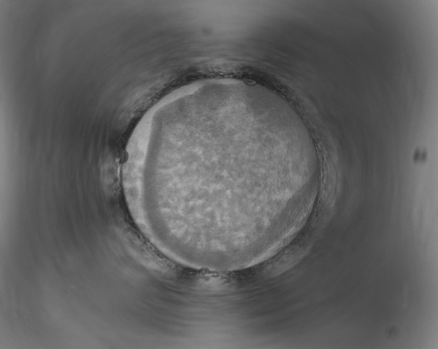 X0000115560624200911271458