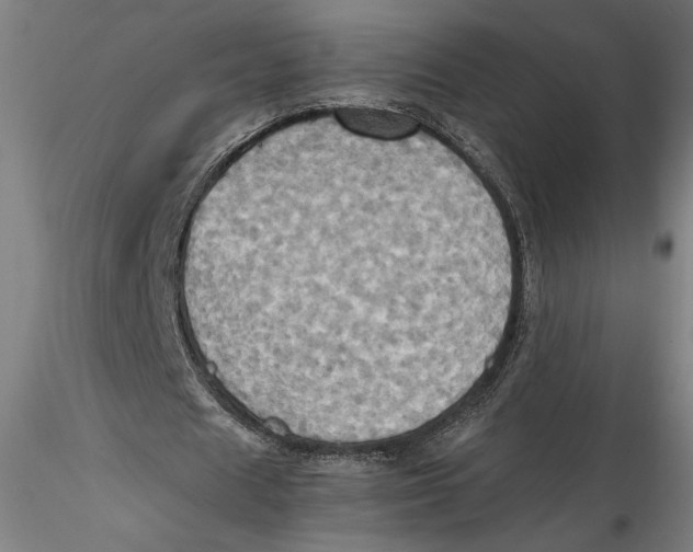 X0000115560625200911271457