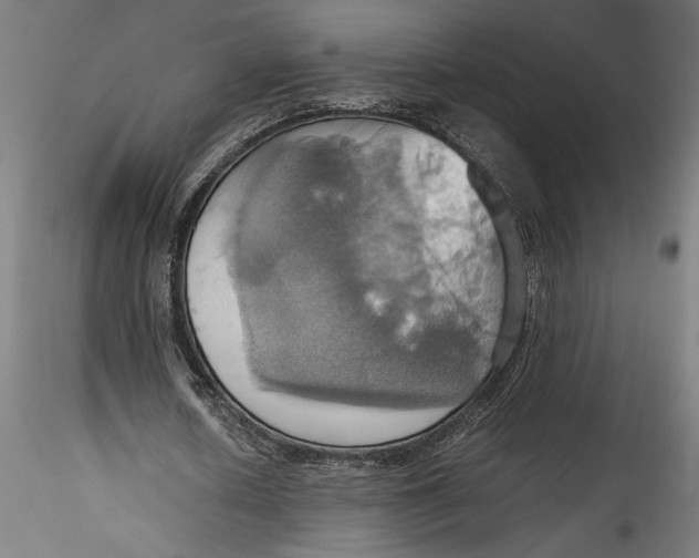 X0000115560626200911271457