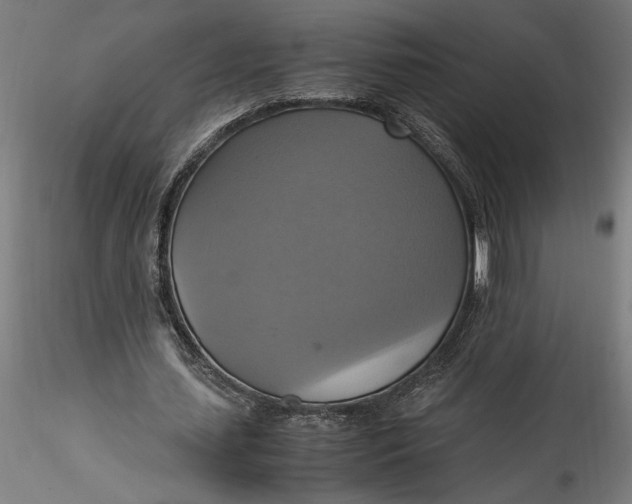 X0000115560627200911271457