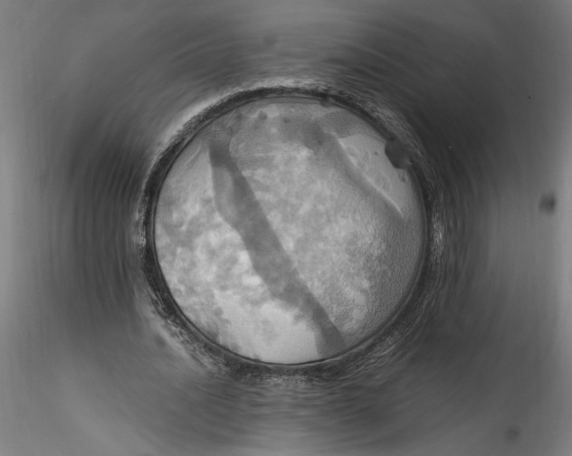 X0000115560628200911271457