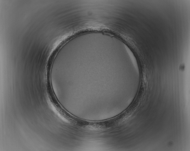 X0000115560630200911271457