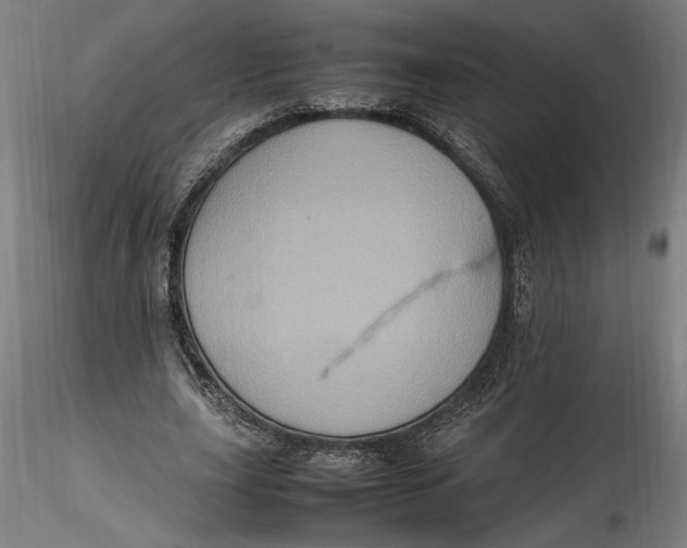 X0000115560631200911271457