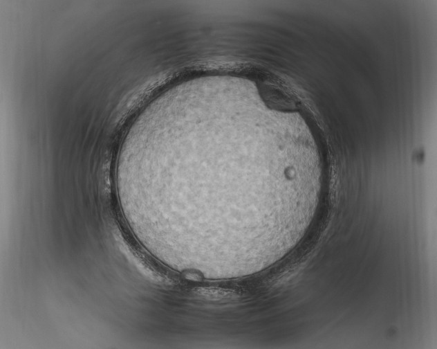 X0000115560633200911271457