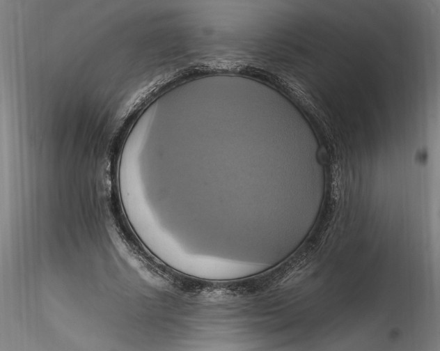 X0000115560634200911271457